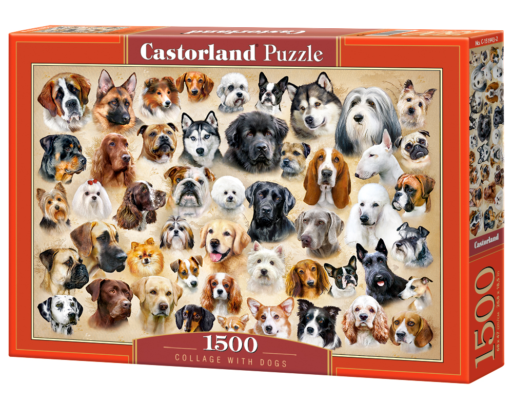 Collage With Dogs